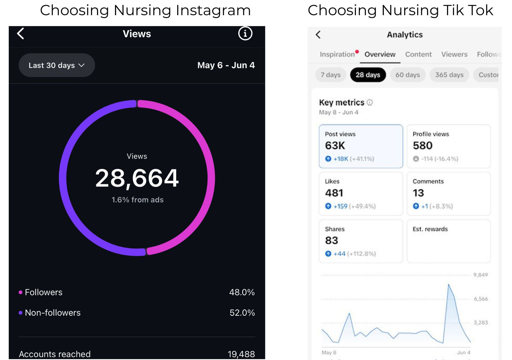 Instagram and Tik Tok Analytics